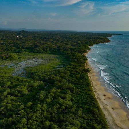 Beach Walk Costa Rica 阿维拉纳海滩 外观 照片